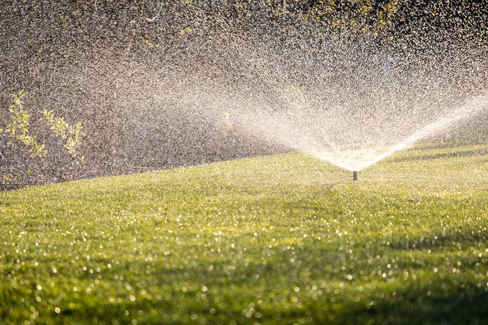 sprinkler-watering-a-lush-green-lawn