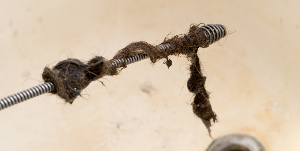 Drain Auger removing hair clog from dirty drain hole